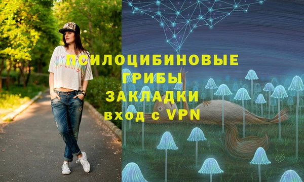 круглые Алзамай